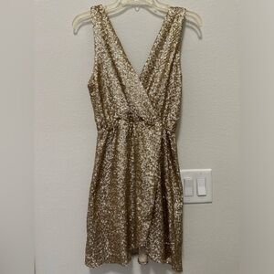 Sexy Gold sequin dress.
